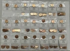 1911 - 1960 Lincoln Wheat Penny Collection Fine to Very Fine Condition 181 coins