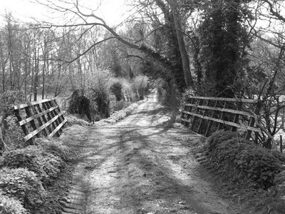 Foto 6x4 Blick in Richtung Longacre Plantage Stratton St Michael Die Brücke c2017