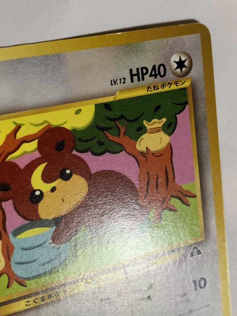 Teddiursa Pokemon Card Game Pocket Monster Nintendo Japanese Teddiursa Pokemon Card Game Pocket Monster Nintendo Japanese