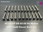 <!--F#f_0-->NEW SCREWS FOR COMMODORE UTE FUEL TANK COVER PLATE SUIT VN VG VP VR VS HOLDEN<!--F/-->