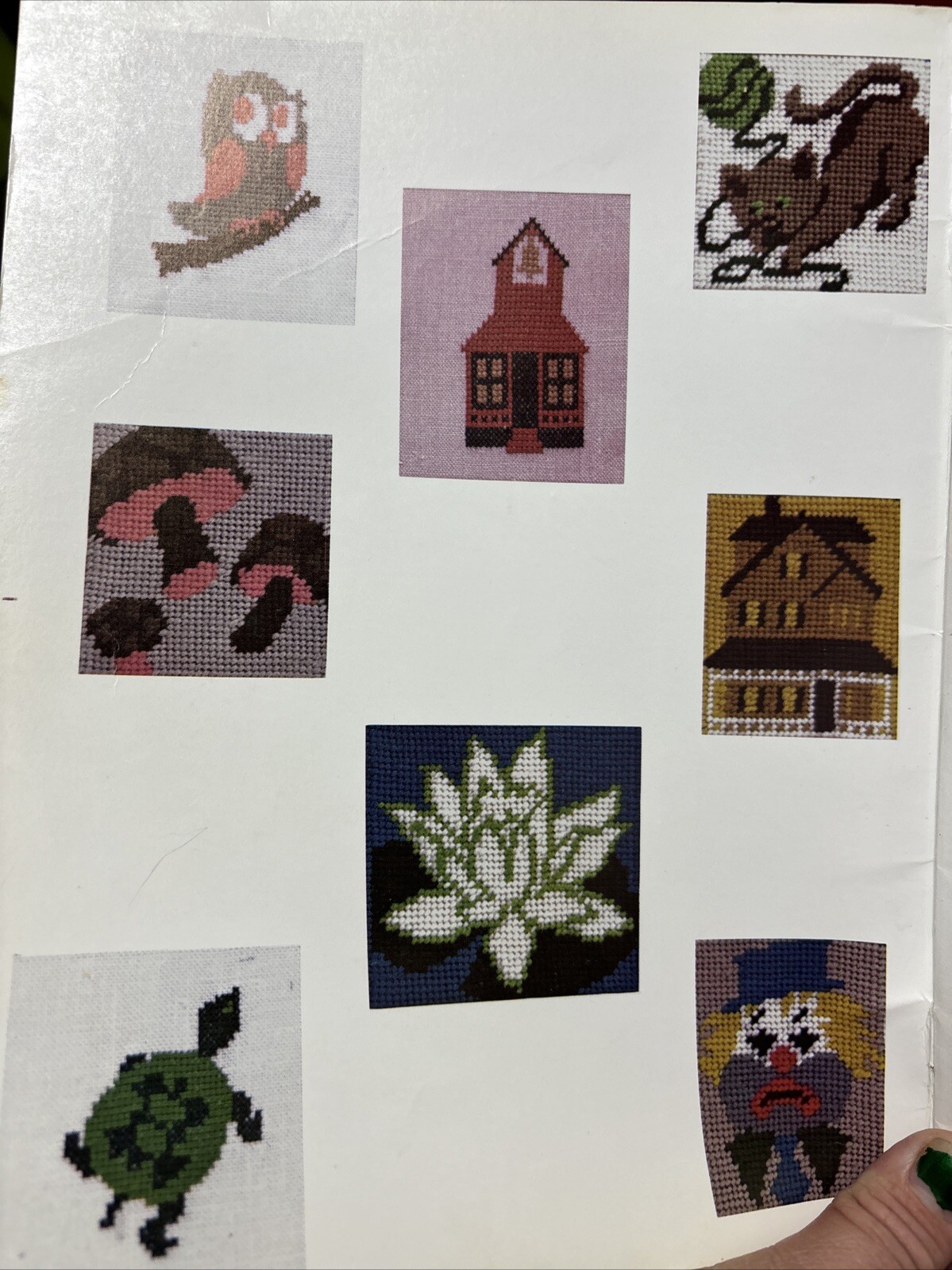 Picture 5 of 7