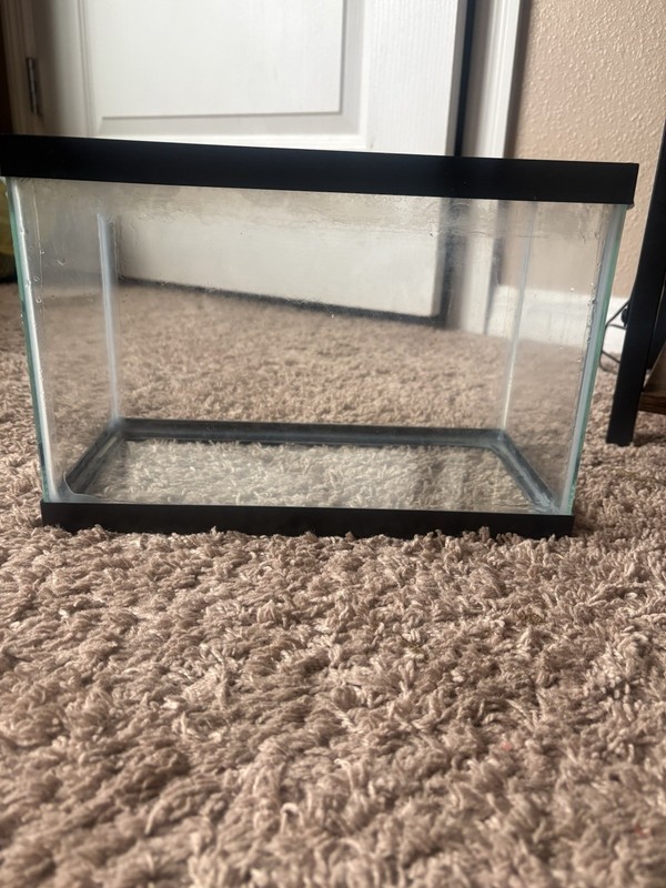 2.5 gallon fish tank with 2 heaters