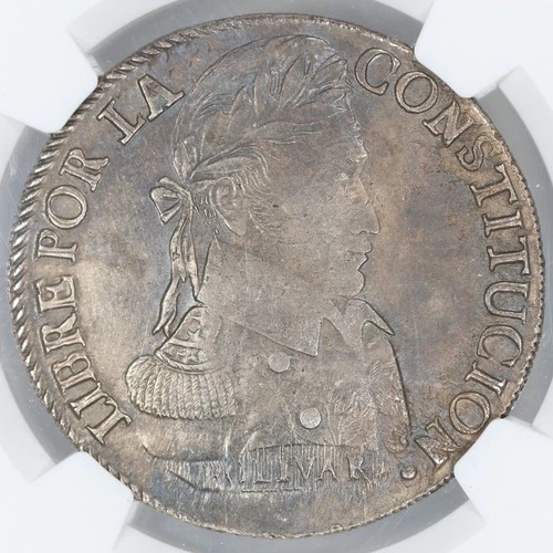 1838 Bolivia Bolivar & Alpacas 8 Soles - Potosi Mint - NGC AU Details