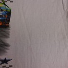Vintage Daytona 500 Shirt Mens XL White 2003 The Great American Race NASCAR* — photo 10