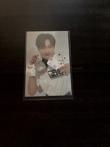 Seventeen Artist Made Collection | eBay