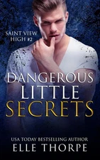 Dangerous Little Secrets (Saint View High)