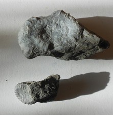 2x Ammoniten Matrix Fossilien Jura- Lias Natur (Z86)Schau Mal ! Kiste dazu ?