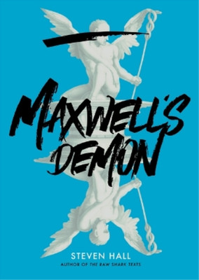 Steven Hall Maxwell's Demon (Gebundene Ausgabe)