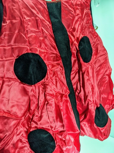 Disfraz de Halloween Ladybug para niño pequeño 2-4 años - Imagen 4 de 5
