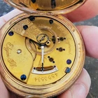 Antique 1892 Elgin B.W. Raymond 18s 15J Gilt Pocket Watch - Rare "STATE" Dial