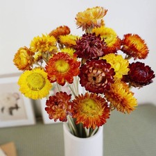 Dried Flowers Bouquet Natural Daisy - 40 PCS Multicolor Daisies Dried Sunflow...