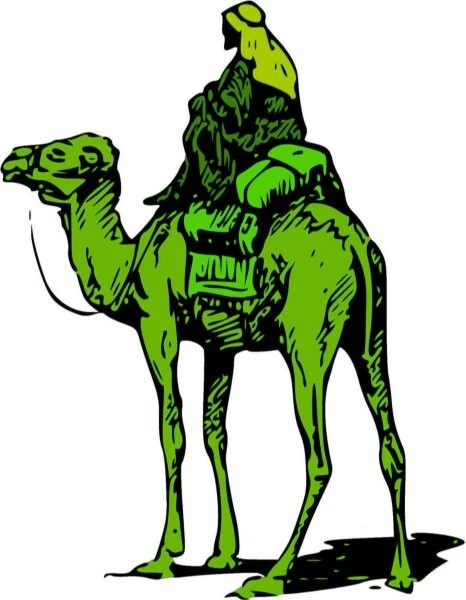 Very Rare SILK ROAD High Alkaloid Poppy Seeds (P. somniferum) - Image 4 of 4