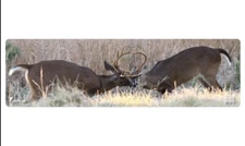 Cerus Gear White Tail Buck Promat, Versatile Firearm Mat for Cleaning, Reloading