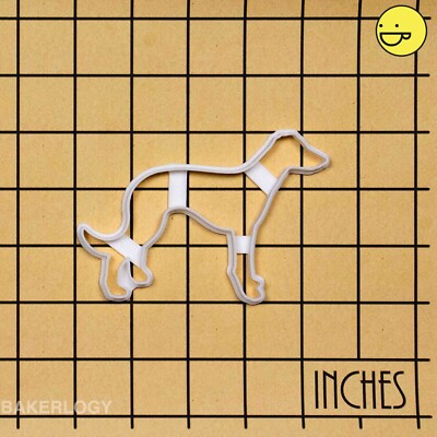 Salvataggio Cani - Angeli A 4 Zampe Odv - Foto 3