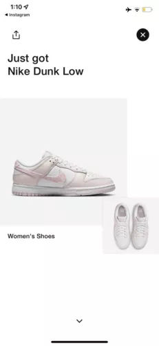 Nike Dunk Low Essential Paisley Pack Pink 2023 FD1449-100 Sz W10/M8.5 FAST SHIP