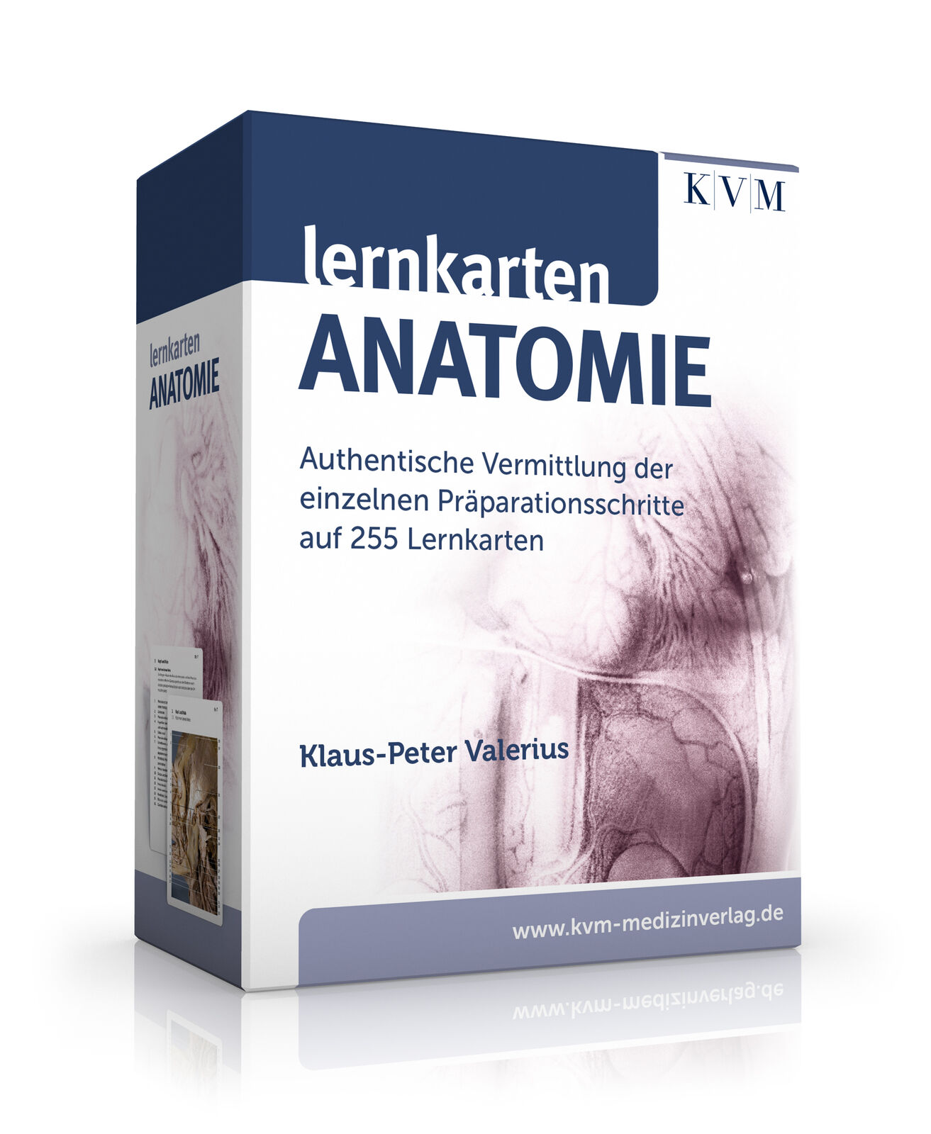 Thumbnail - Klaus-peter Valerius / Lernkarten Anatomie