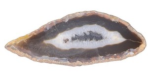 Natural Agate Slab Slice Polished Gray White Dendritic Inclusion Stone Specimen