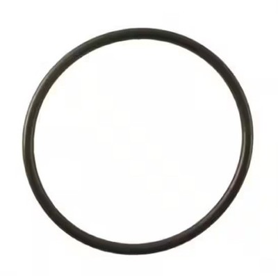 Guidi KITORI242CR70 O-Ring For Guidi Water Strainer Covers 3/4'' & 1'' BSP