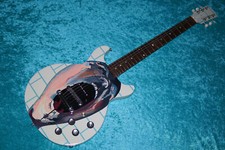 The Wall Gibson Les Paul Special custom painted guitar USA double cutaway