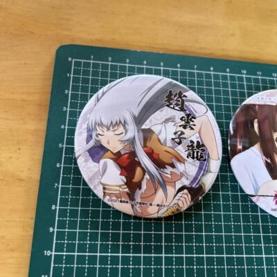Ikki Tousen Two can badges: Zhao Yun Zilong and Sun Quan Zhongmou
