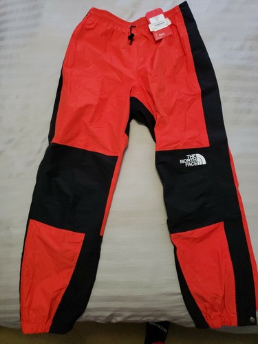 North Face 1994 Retro Mountain Light 3L 