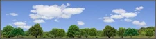 TRACKSIDE BACKDROP #670 Trees and sky O Scale