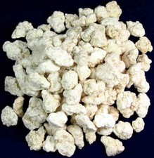 Magnesit - Knollen roh Südafrika Ø 10 - 30 mm Wassersteine Heilsteine Edelstein