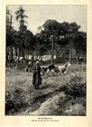 Ernst Fischer-Coerlin on the forest pasture little cowherdess historical print from 1901