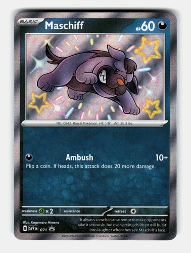 Maschiff 071 Holo Promo Scarlet & Violet Promo Pokemon Near Mint