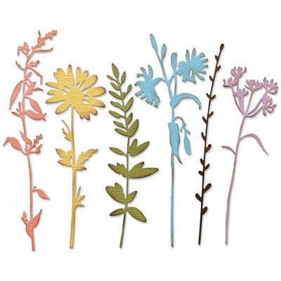 Sizzix Tim Holtz Thinlits Die Set Vault Wildflowers