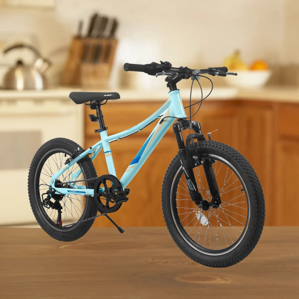 Bicicleta 20" Niños Bicicleta para Niños Niñas Niño Edades 6-13 - Rosa Azul 7 - Velocidad Foto 4 de 4