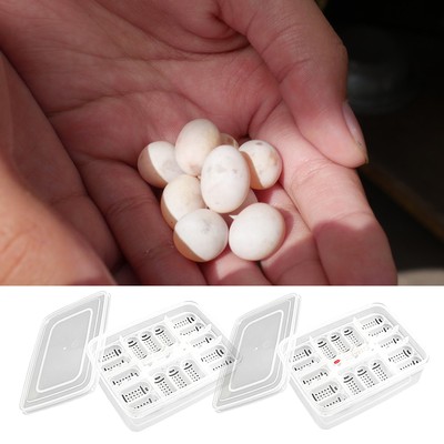 16 Holes Reptile Egg Incubation Tray Gecko Lizard Snake Eggs Incubation Tool 
