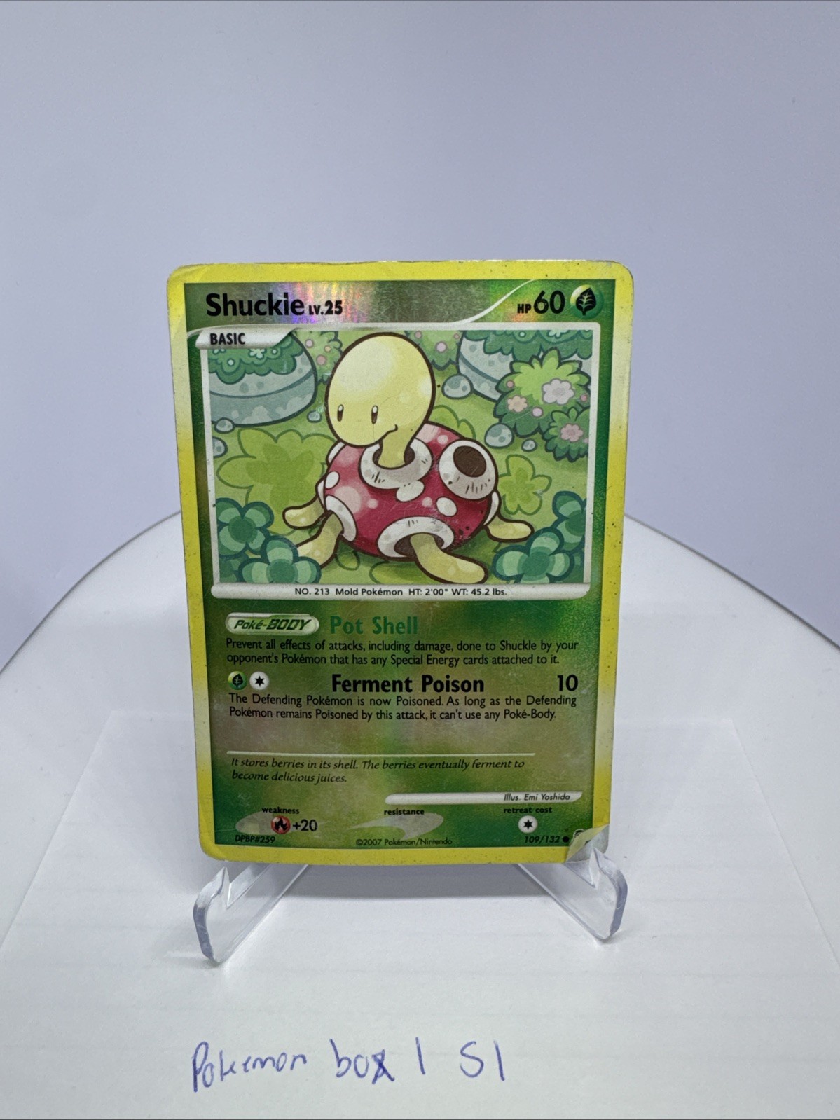 Shuckle 109/132 Secret Wonders Reverse Holo
