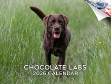 Labrador - Chocolate Dog Breed Calendar 2026 12x18 Made in USA