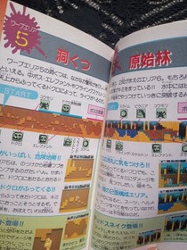 Famicom NES Dr. Chaos Japanese Strategy Guide Book 1987 Video Game