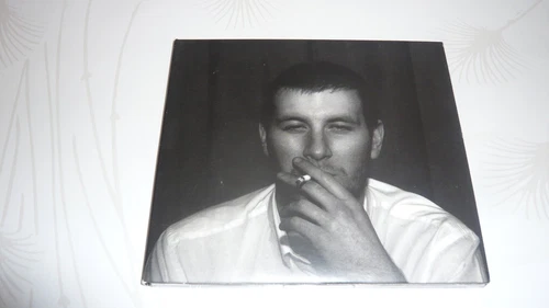 Arctic Monkeys Shifty Adventures in Nookie Wood (CD)