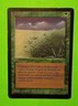 Lifelace Beta Edition Magic the Gathering MtG Amy Weber 1993