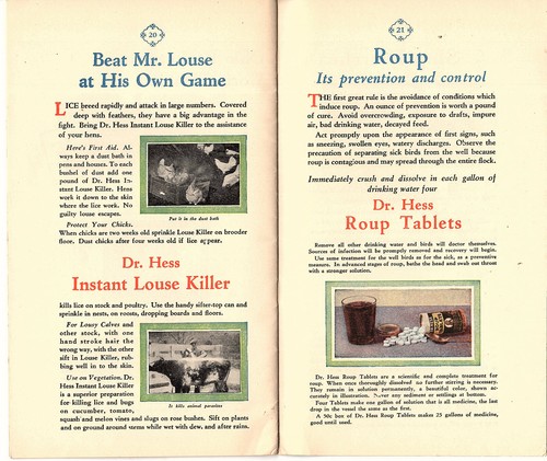 Dr. Hess Veterinary Livestock & Poultry Products 1928 Katalog Dr. Hess & Clark - Bild 5 von 6