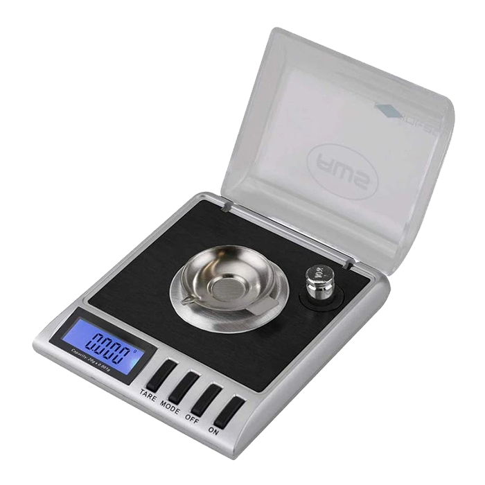 QUARKZMAN Juego de 2 Pesas de Calibración de Gramos 500g 1kg M1 de Acero Cromado de Precisión para Balanzas Digitales