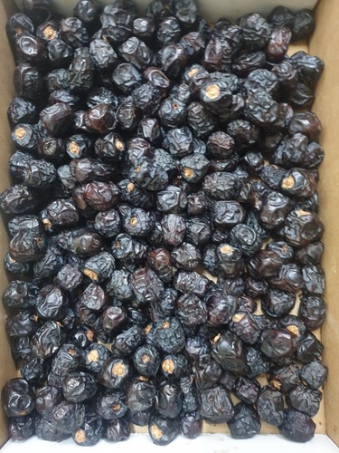 Premium quality AJWA Dates 3kg Authentic Fresh Soft from Al-Madinah Al-Munawarah - Picture 4 of 4