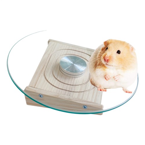 Hamster Wheel Smoothly Silent Running Wheel for Mouse Small Animals Gerbils