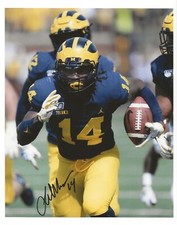 JOSH METELLUS Signed/Autographed MICHIGAN WOLVERINES 8x10 Photo w/COA