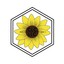 CLC-LLC