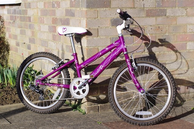 raleigh krush girls bike