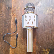 Wireless Handheld Karaoke Microphone w/ Built-In Speaker, USB Charging, Silver
