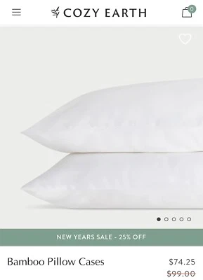 Cozy Earth Bamboo King Sized Pillowcases
