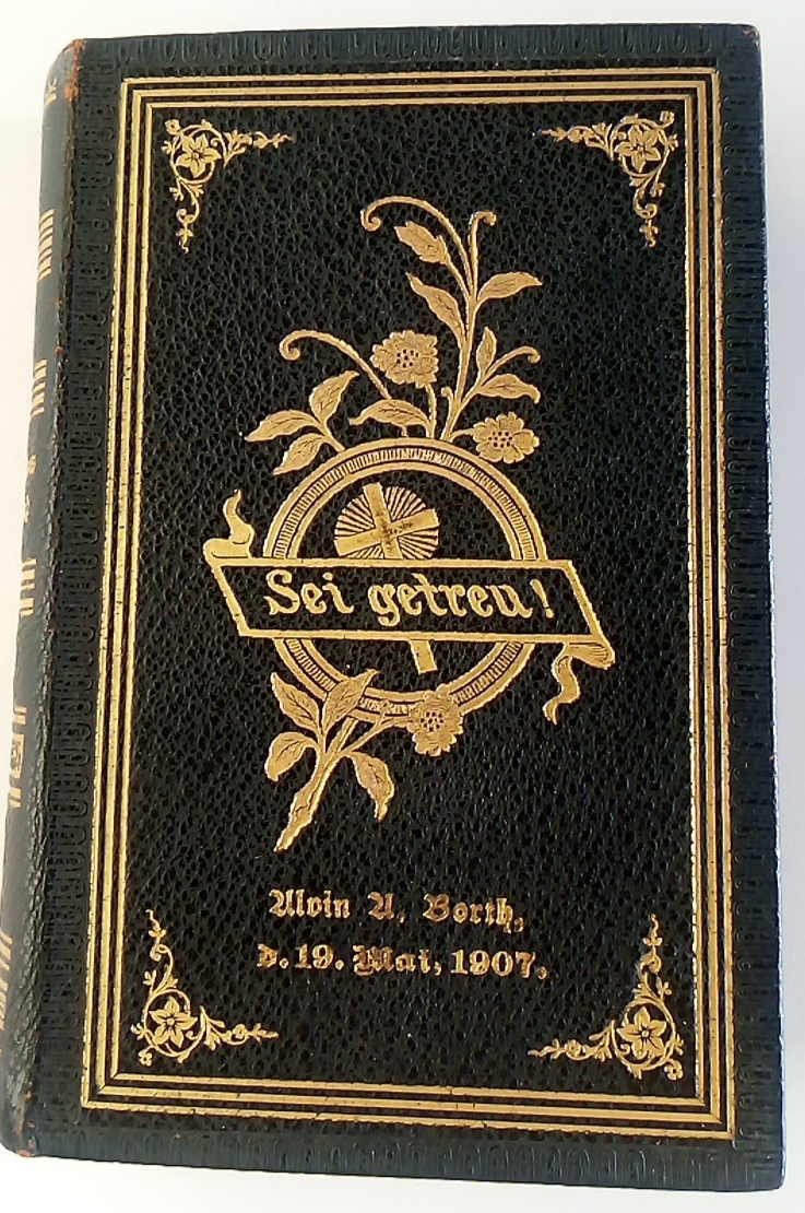 Foto 13 di 17