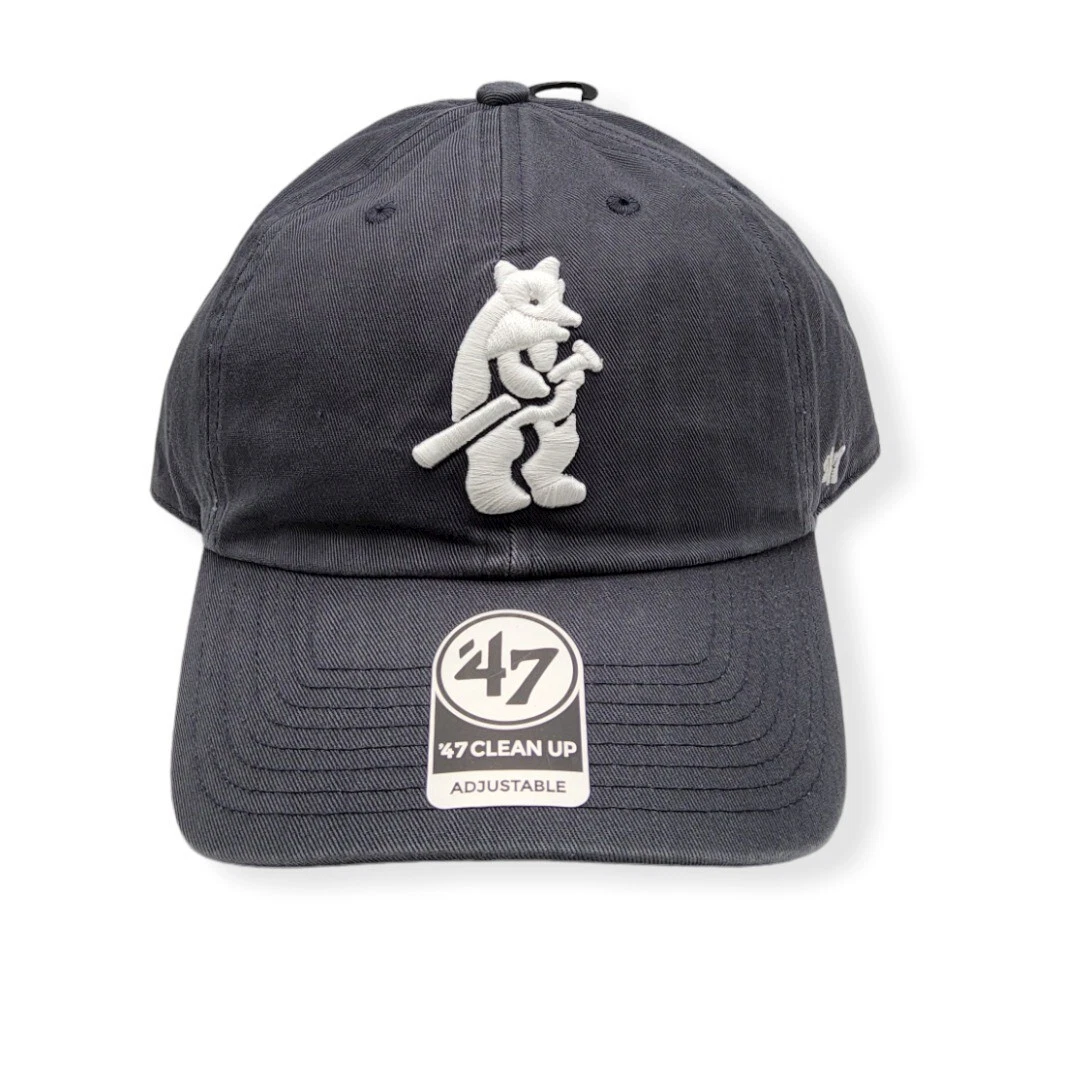 Cubs clean hotsell up hat