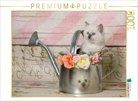 Calvendo Puzzle An Image From The Ragdolls Calendar: Scenes From The Nursery | 1