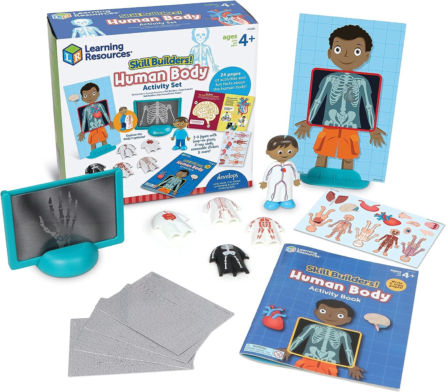 Jeux éducatif apprentissage corps humain pour expliquer l'anatomie aux enfants